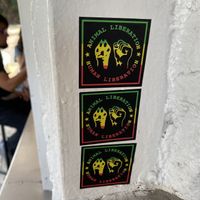   at Veganisimo Loncheria in Mexico City