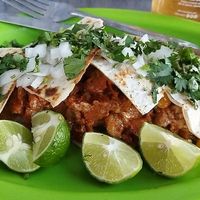 Gringa at Veganisimo Loncheria in Mexico City