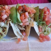 Vegan Tacos at El Patron Mexican Grill and Cantina in Albany