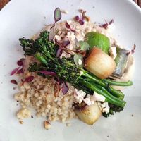 Giant couscous with cauliflower and hazelnut cream at Cascara in Bath