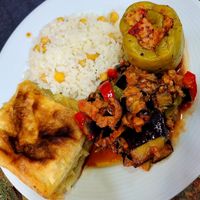 Pilaf, borek, stuffed pepper, zucchini at Vegan Istanbul in Istanbul