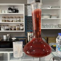 Homemade kombucha   at Vegan Istanbul in Istanbul