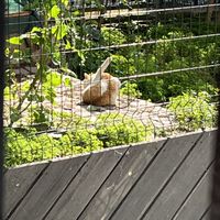   at Vegan Istanbul in Istanbul