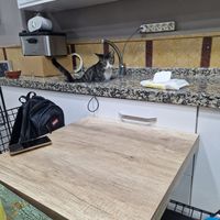  at Vegan Istanbul in Istanbul