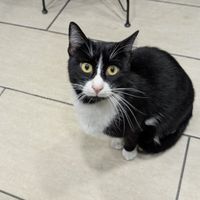  at Vegan Istanbul in Istanbul