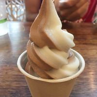 Soft Serve at PlantPure Cafe in Philadelphia