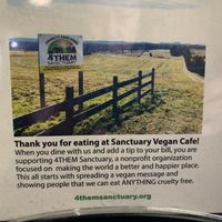Sanctuary Vegan Cafe at Sanctuary Vegan Cafe in Knoxville