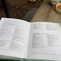 Allergy menu  at Zaytinya in Washington