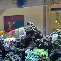 Ausgefallene Inneneinrichtung at Cafe Jolie in Regensburg