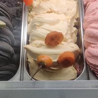 Tree tomato 🌱 at Gelateria Tramonti in Cartagena