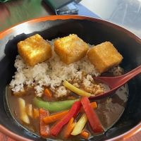 agadashi tofu and curry at Samurai Bowl in Christchurch