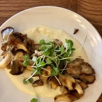 Mushroom chicken  at Four One Six (416) in Tel Aviv