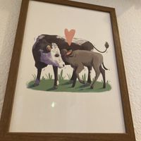   at Balans Bistro in Bratislava