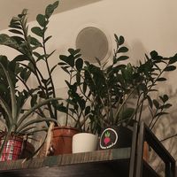  at Balans Bistro in Bratislava