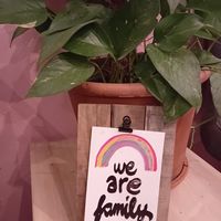  at Balans Bistro in Bratislava