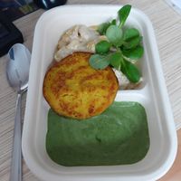 Spinach with vegan omellete and potato gratin at Balans Bistro in Bratislava