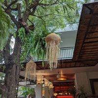  at Reform Kafe in Chiang Mai