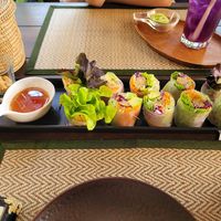 Springrolls at Reform Kafe in Chiang Mai