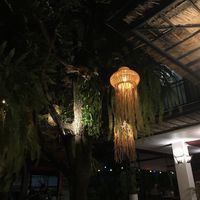   at Reform Kafe in Chiang Mai