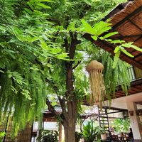  at Reform Kafe in Chiang Mai