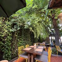 Vibe   at Reform Kafe in Chiang Mai