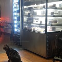   at Reform Kafe in Chiang Mai