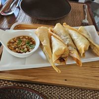 Deep fried vege spring rolls with peanut sauce at Reform Kafe in Chiang Mai