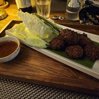Spicy falafel at Reform Kafe in Chiang Mai