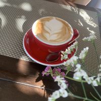Oat milk latte   at Reform Kafe in Chiang Mai