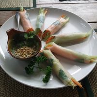 Fresh spring rolls at Reform Kafe in Chiang Mai