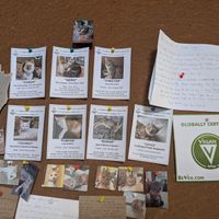  at Reform Kafe in Chiang Mai