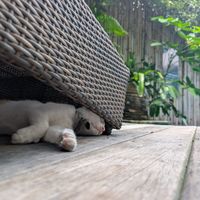  at Reform Kafe in Chiang Mai