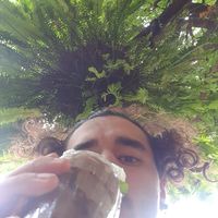  at Reform Kafe in Chiang Mai