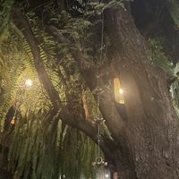   at Reform Kafe in Chiang Mai