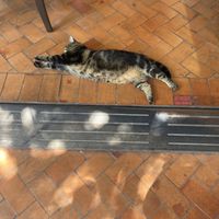   at Reform Kafe in Chiang Mai