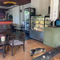   at Reform Kafe in Chiang Mai