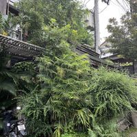 Outside the main entrancee  at Reform Kafe in Chiang Mai