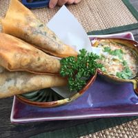 Fried spring rolls  at Reform Kafe in Chiang Mai