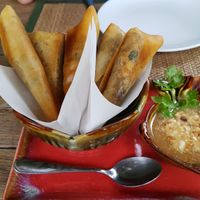 Fried spring rolls at Reform Kafe in Chiang Mai