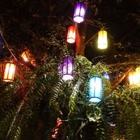 Night time atmosphere and lighting  at Reform Kafe in Chiang Mai