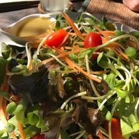Garden Salad  at Reform Kafe in Chiang Mai