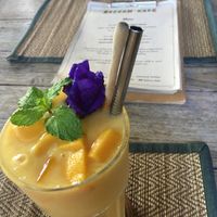 Mango smoothie. They use metal straws to avoid plastic. at Reform Kafe in Chiang Mai