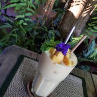 Mango lassi at Reform Kafe in Chiang Mai