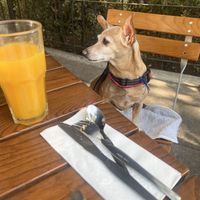   at Le Pain Quotidien - Polanco in Mexico City