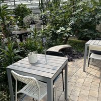   at Rose Cafe in Drummondville