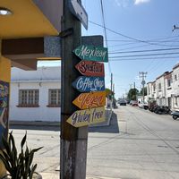   at Amparos in Cozumel