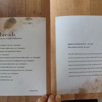  at Depth N Green in Mysore