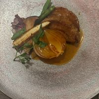  at Vegetus in Kamakura