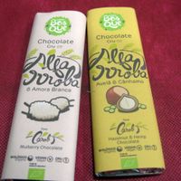 Carob chocolate bars (vegan) sold at the counter. at Nutrisabor in Tomar