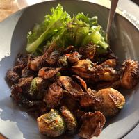 Brussels  at Roots in Rutland